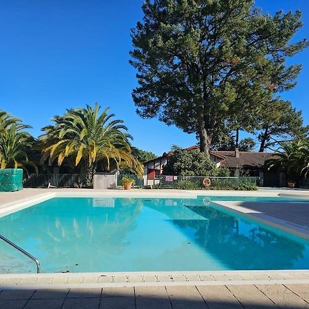 T2 Ciboure 4 Pers Avec Piscine Ideal Vacances Екстер'єр фото