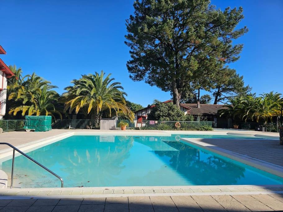 T2 Ciboure 4 Pers Avec Piscine Ideal Vacances Екстер'єр фото